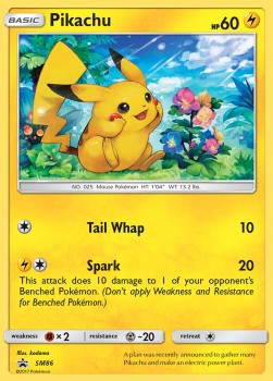 /products/pokemon/pik/pikachu/sm-black-star-promos-pikachu-312557.jpg