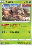 Pinsir