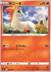 Ponyta 