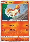 Ponyta 