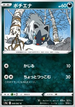 /products/pokemon/poo/poochyena/battle-region-poochyena-609817.jpg