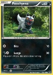 Poochyena 