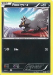 Poochyena 