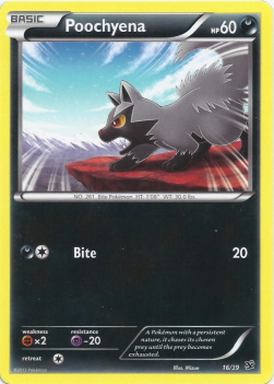 /products/pokemon/poo/poochyena/xy-kalos-starter-set-poochyena-281282.jpg