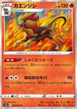 /products/pokemon/pyr/pyroar/battle-region-pyroar-609725.jpg