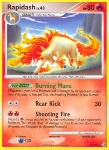 Rapidash Lv.43