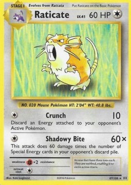 /products/pokemon/rat/raticate/evolutions-raticate-293420.jpg