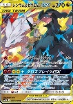 Reshiram & Zekrom GX (GX Alleati)