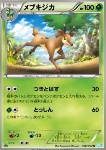 Sawsbuck 