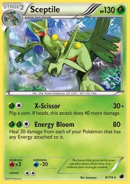 /products/pokemon/sce/sceptile/plasma-freeze-sceptile-280886.jpg