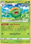 Skiploom 