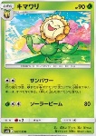 Sunflora