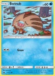 Swinub 