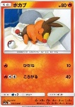 Tepig 
