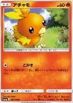 Torchic 