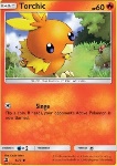 Torchic 