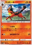 Torracat 