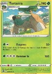 Torterra 