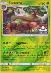 Torterra 