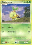 Turtwig Lv.10