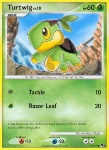Turtwig Lv.10 