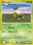 Turtwig Lv.11