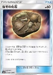 Fossile Sconosciuto