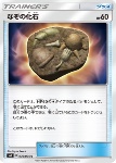 Fossile Sconosciuto