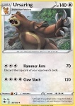 Ursaring 