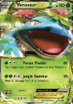 Venusaur EX 