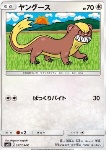 Yungoos 
