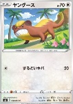 Yungoos 