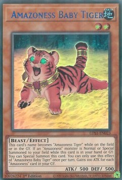 /products/ygo/ama/amazoness-baby-tiger-v1-ultra-rare/legendary-duelists-season-1-amazoness-baby-tiger-v1-ultra-rare-475264.jpg