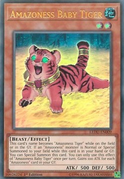 /products/ygo/ama/amazoness-baby-tiger/legendary-duelists-amazoness-baby-tiger-301326.jpg
