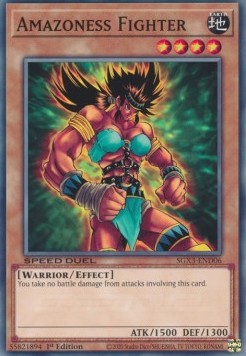 /products/ygo/ama/amazoness-fighter/speed-duel-gx-duelists-of-shadows-amazoness-fighter-702631.jpg