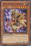 Paladina Amazoness