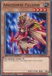 Paladina Amazoness