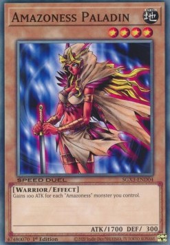 /products/ygo/ama/amazoness-paladin/speed-duel-gx-duelists-of-shadows-amazoness-paladin-702629.jpg