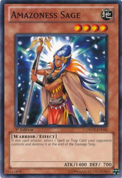 /products/ygo/ama/amazoness-sage/duelist-revolution-amazoness-sage-242330.jpg
