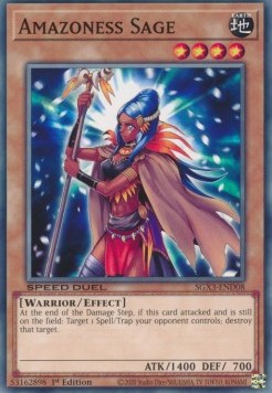 /products/ygo/ama/amazoness-sage/speed-duel-gx-duelists-of-shadows-amazoness-sage-702633.jpg