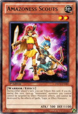 /products/ygo/ama/amazoness-scouts/duelist-revolution-amazoness-scouts-242381.jpg