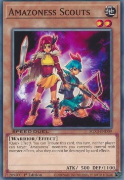 /products/ygo/ama/amazoness-scouts/speed-duel-gx-duelists-of-shadows-amazoness-scouts-702634.jpg