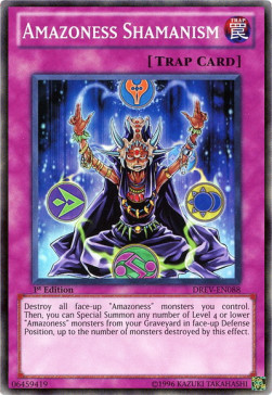 /products/ygo/ama/amazoness-shamanism/duelist-revolution-amazoness-shamanism-242388.jpg