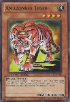 Tigre Amazoness