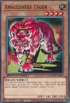 Tigre Amazoness
