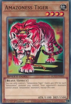 /products/ygo/ama/amazoness-tiger/speed-duel-gx-duelists-of-shadows-amazoness-tiger-702628.jpg