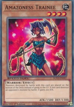 /products/ygo/ama/amazoness-trainee/speed-duel-gx-duelists-of-shadows-amazoness-trainee-702632.jpg