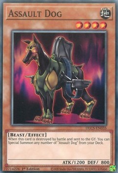 /products/ygo/ass/assault-dog/dragons-of-legend-the-complete-series-assault-dog-493899.jpg