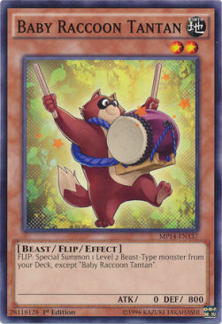 /products/ygo/bab/baby-raccoon-tantan/2014-mega-tins-mega-pack-baby-raccoon-tantan-269043.jpg
