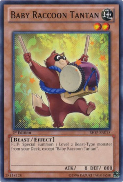 /products/ygo/bab/baby-raccoon-tantan/shadow-specters-baby-raccoon-tantan-265261.jpg